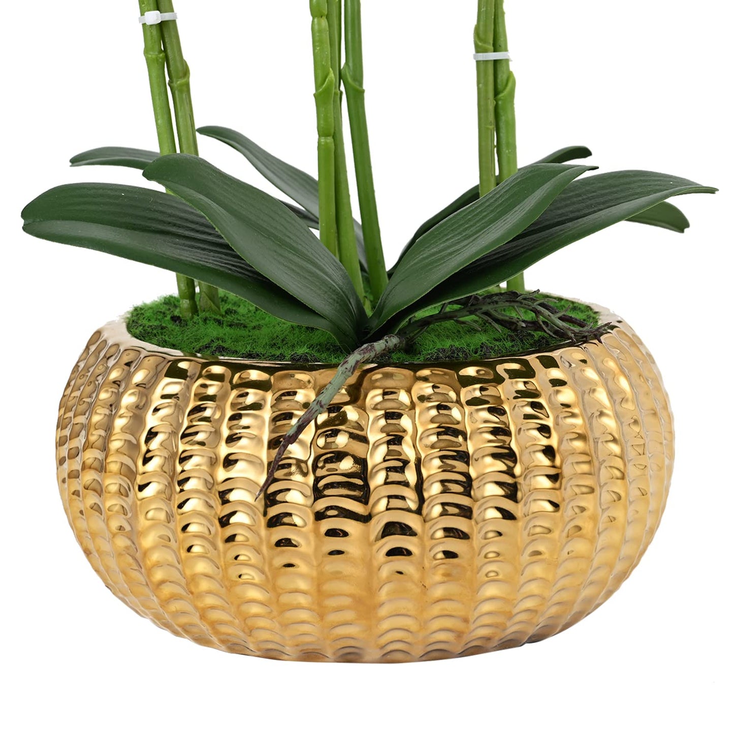 LIVILAN Artificial WhiteArtificial White Orchid Silk Flower with Gold Vase – Faux Phalaenopsis for Home, Kitchen & Table Centerpieces Orchid Silk Flower Fake Plant with Gold Vase - Faux Phalaenopsis for Home Decor, Kitchen, Table Centerpieces