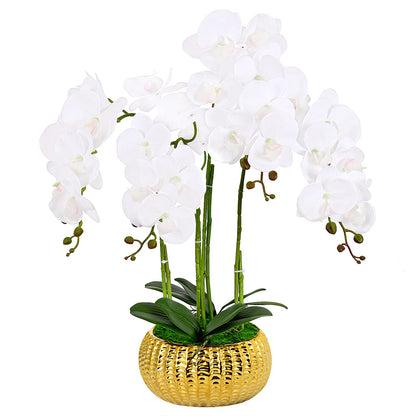 LIVILAN Artificial WhiteArtificial White Orchid Silk Flower with Gold Vase – Faux Phalaenopsis for Home, Kitchen & Table Centerpieces Orchid Silk Flower Fake Plant with Gold Vase - Faux Phalaenopsis for Home Decor, Kitchen, Table Centerpieces