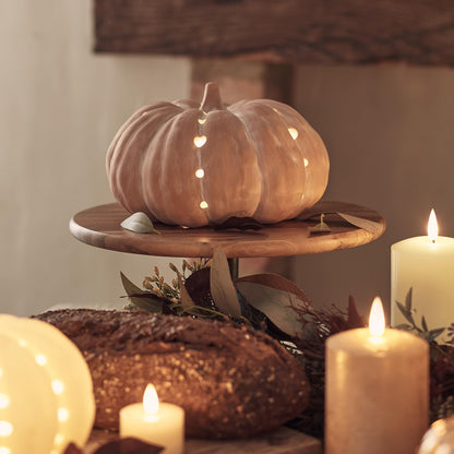 Set of 2 Terracotta Pumpkin Decorations – Battery Operated with Warm White LED & Timer, Indoor/Outdoor Halloween & Autumn Décor