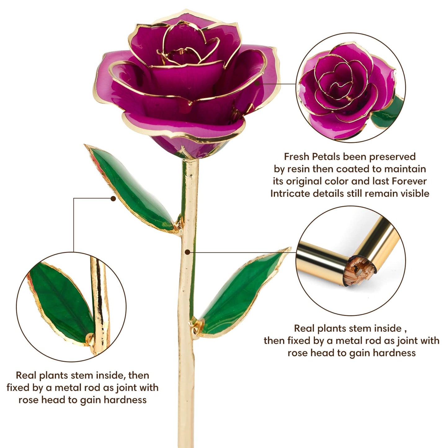 Gold-Dipped Infinity Rose – Purple Preserved Real Flower with Resin Finish & Gift Box, Eternal Rose for Anniversaries, Birthdays & Valentine’s Day