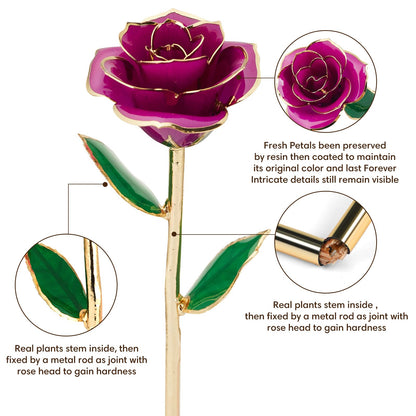 Gold-Dipped Infinity Rose – Purple Preserved Real Flower with Resin Finish & Gift Box, Eternal Rose for Anniversaries, Birthdays & Valentine’s Day