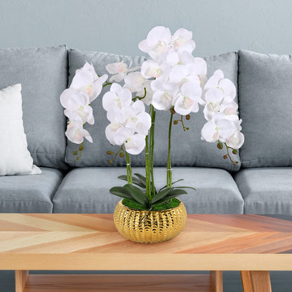 LIVILAN Artificial WhiteArtificial White Orchid Silk Flower with Gold Vase – Faux Phalaenopsis for Home, Kitchen & Table Centerpieces Orchid Silk Flower Fake Plant with Gold Vase - Faux Phalaenopsis for Home Decor, Kitchen, Table Centerpieces
