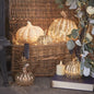 Set of 5 Light Up LED Pumpkins – Battery Operated Autumn & Halloween Decorations with Timer, Indoor Use (Gold & Glass Finish)